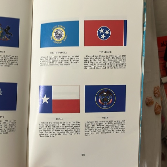 Our Flag - Picture 2 of 4